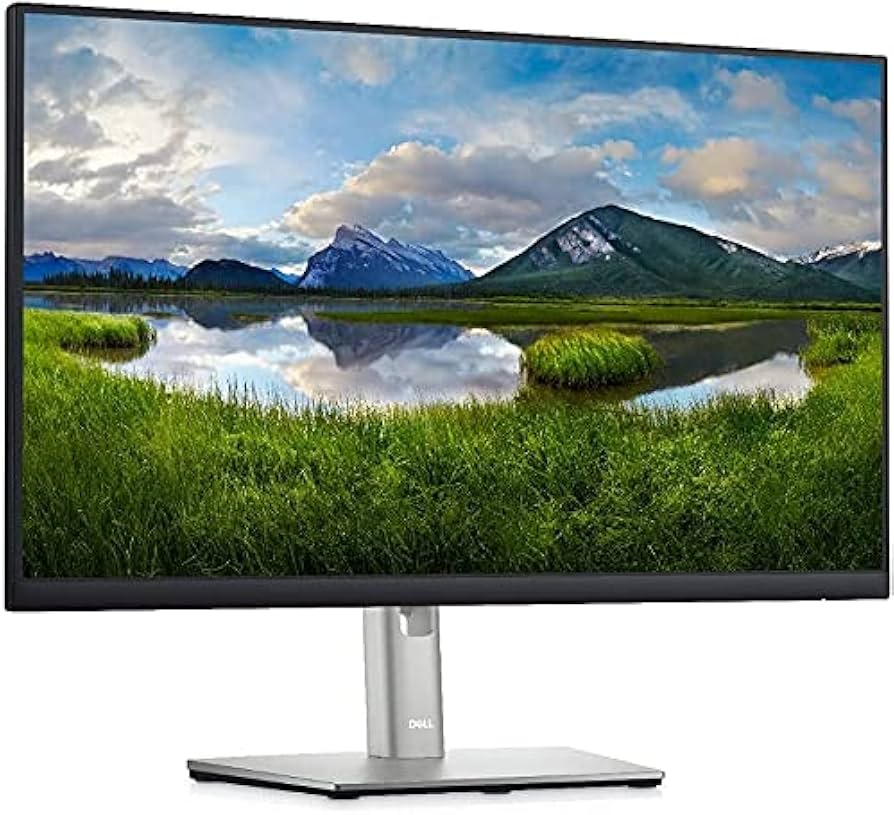 MONITOR DELL P2422H