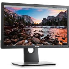 MONITOR DELL P2017H