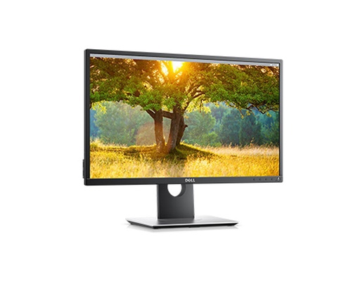 [P2417H] MONITOR DELL P2417H 